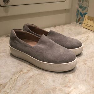 Steve Madden Grey Suede Sneakers